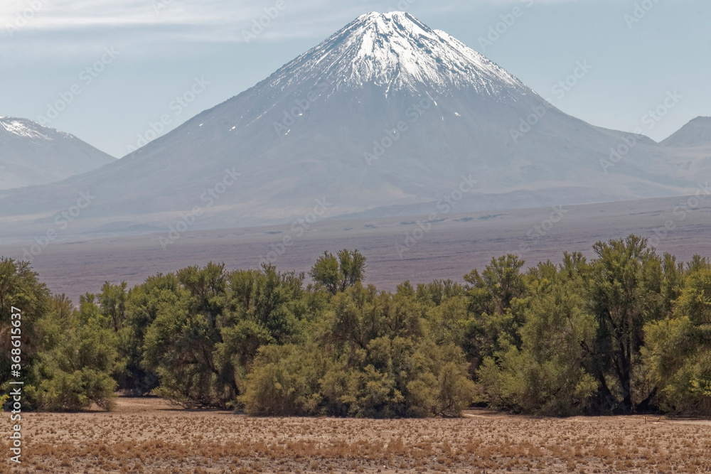 Chile - Atacama Desert with the volcano in the background.