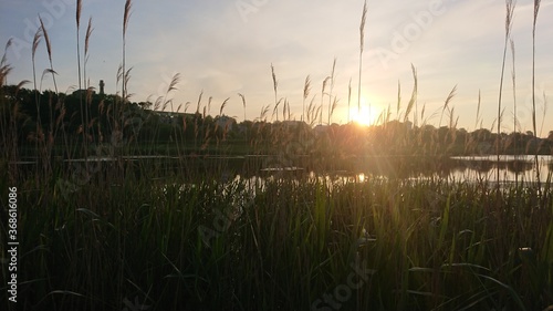 sunrise over the lake 