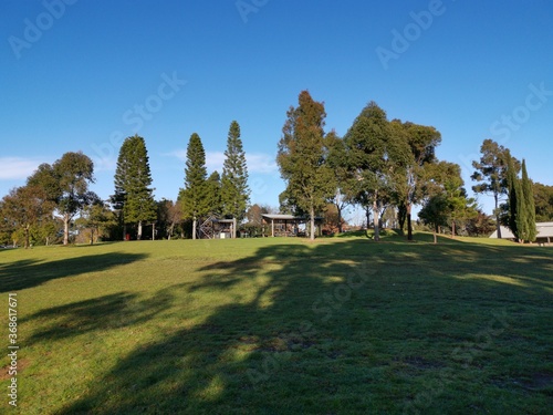 Beautiful morning view of a park with green grass, tall trees and deep blue sky, Fagan park, Galston, Sydney, New South Wales, Australia