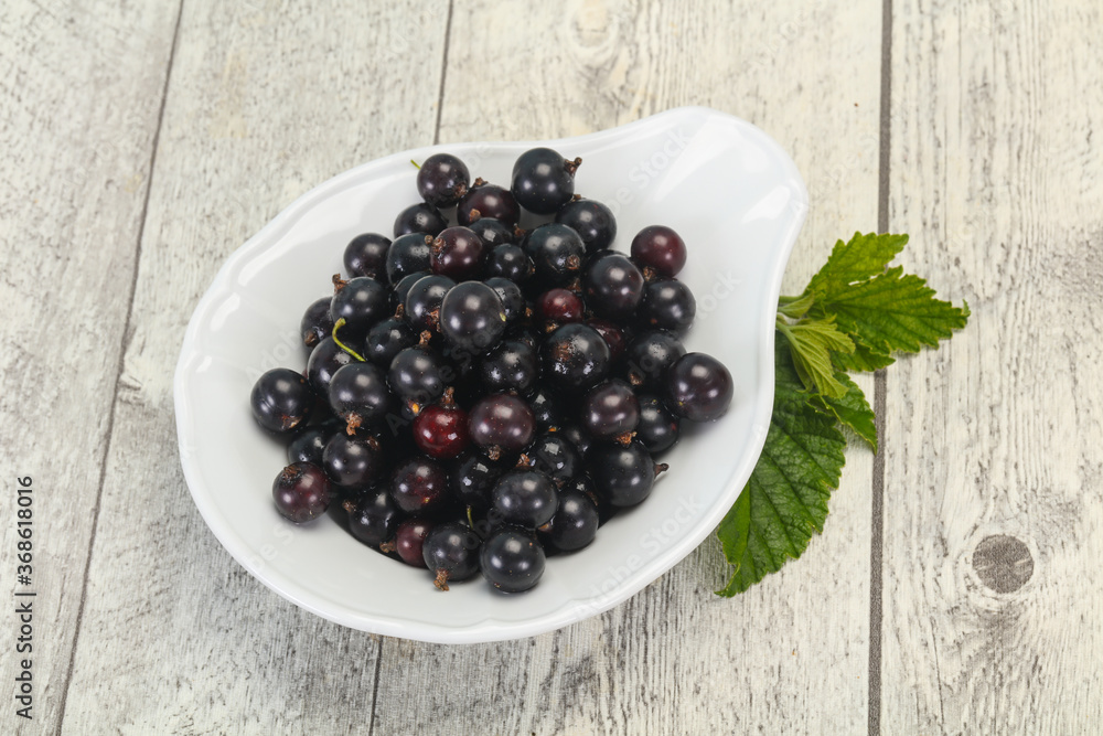 Fresh ripe sweet black currant Fresh ripe sweet black currant