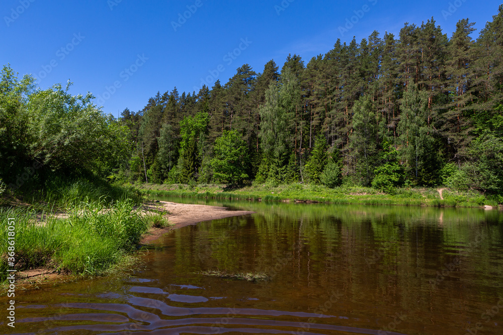 Obraz premium Wild river with reflections
