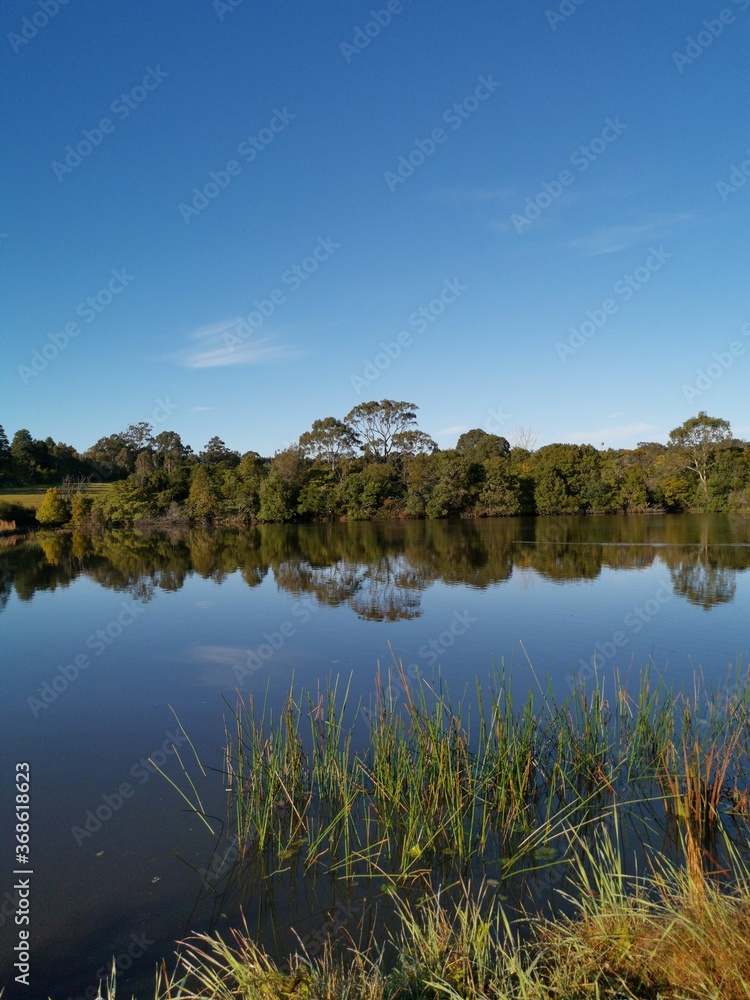Beautiful morning view of a peaceful pond in a park with reflections of deep blue sky and tall trees, Fagan park, Galston, Sydney, New South Wales, Australia Beautiful morning view of a peaceful pond in a park with reflections of deep blue sky and tall trees, Fagan park, Galston, Sydney, New South Wales, Australia