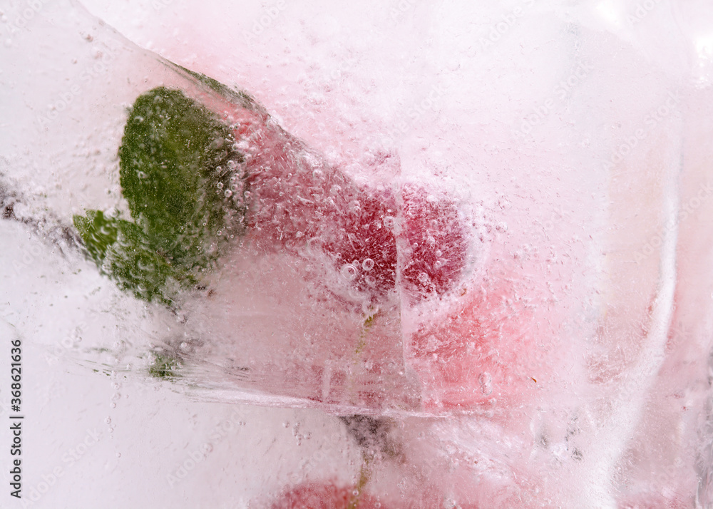 Fototapeta premium Small red plums frozen within a block of ice