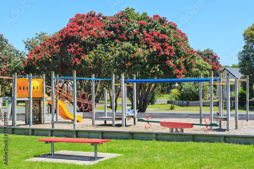Children's playground in a park with climbing bars, slide, and see-saw. Photographed in New Zealand with a flowering pohutukawa tree in the background