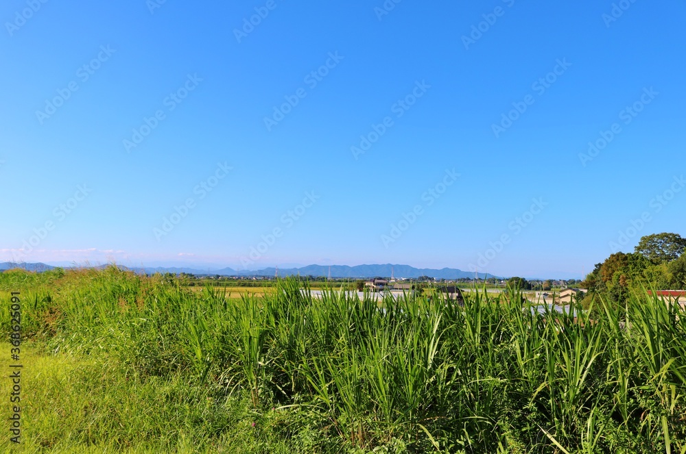 Fototapeta premium 空 田舎 のどか 風景 栃木