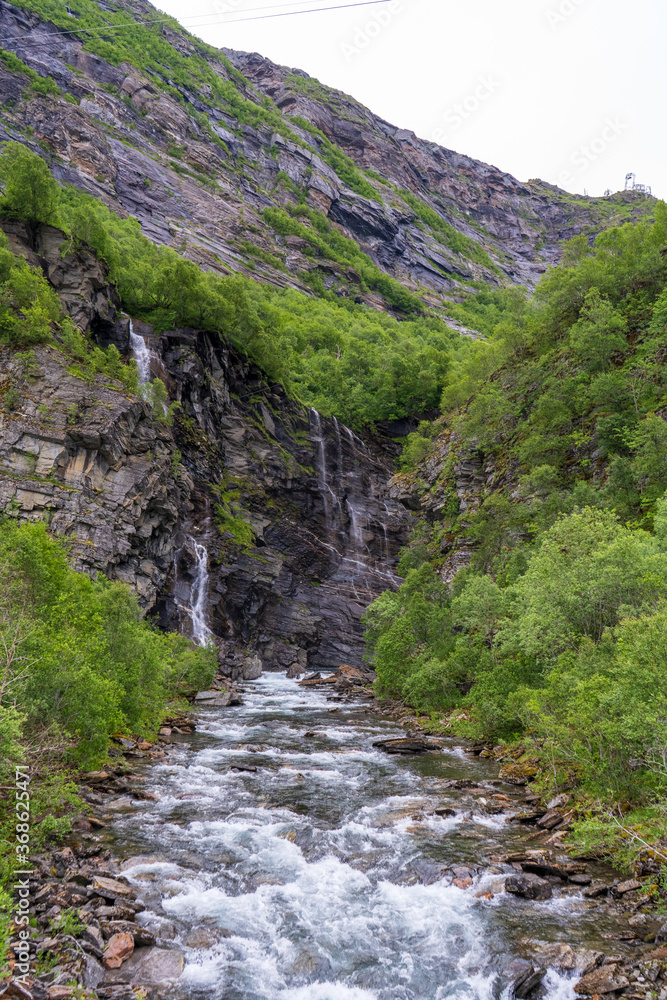 mountain stream in the forest mountain stream in the forest