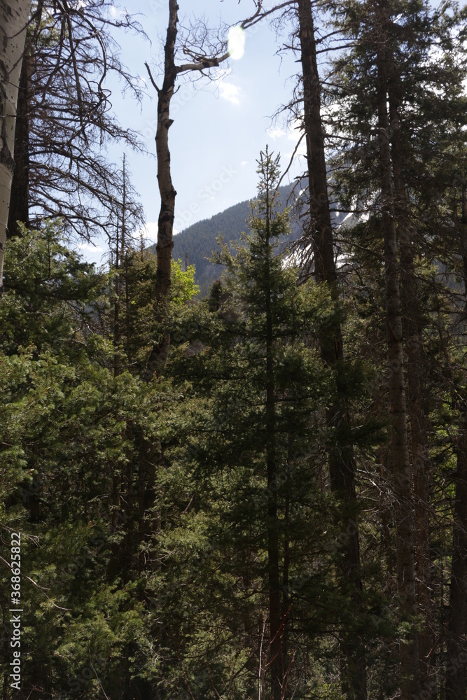Mount Sneffels blue lake trail Ridgway Colorado Mount Sneffels blue lake trail Ridgway Colorado