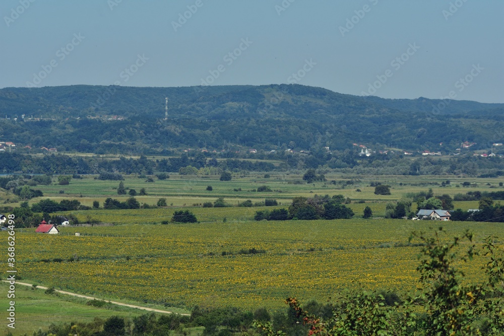 summer landscape with agricultural field near the village on the lake