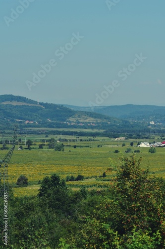 summer landscape with agricultural field near the village on the lake