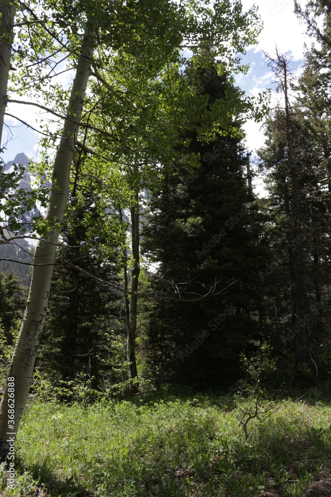 Obraz premium Mount Sneffels blue lake trail Ridgway Colorado
