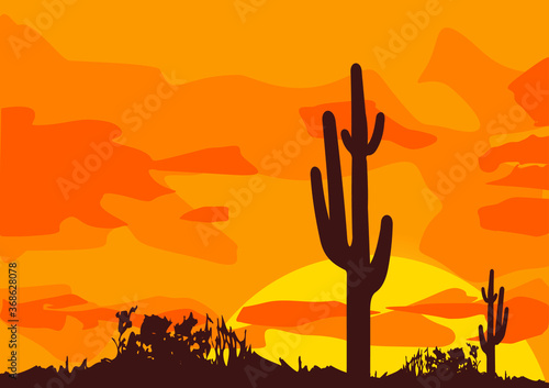 Mexican desert sunset background