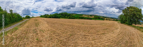 Panorama of a wheat field with a blue sky and white clouds in the background © Arthur Palmer