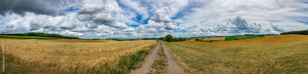 Panorama on fields with a blue sky and white clouds in the background