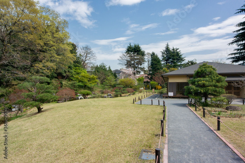 Wallpaper Mural 菅刈公園 Torontodigital.ca