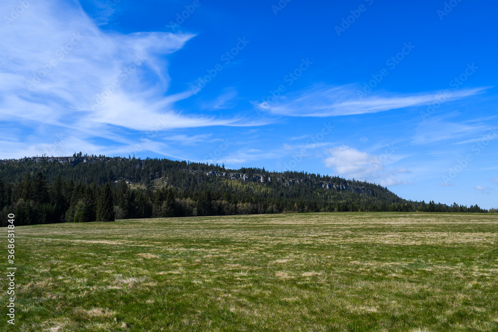 Panorama skalniaka Panorama skalniaka