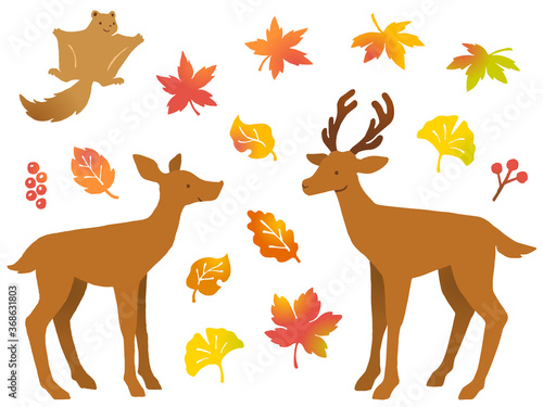 鹿のペアとモモンガと色々な秋の紅葉や木の実の手描き風イラストセット