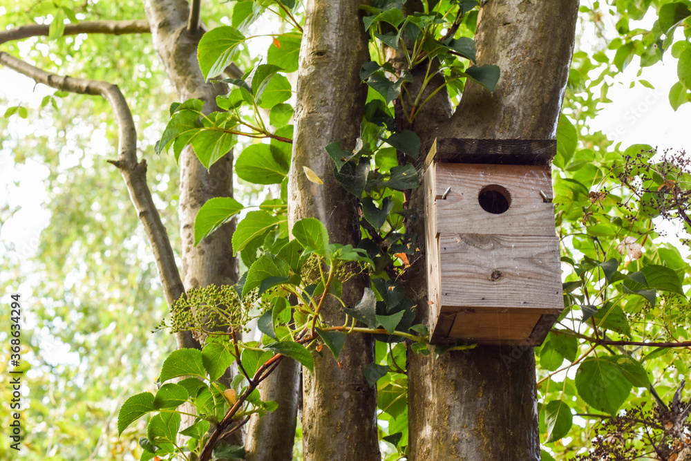 Wooden bird box attached to a tree in a garden Wooden bird box attached to a tree in a garden