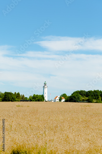 Photography Stevns Klint, Denmark