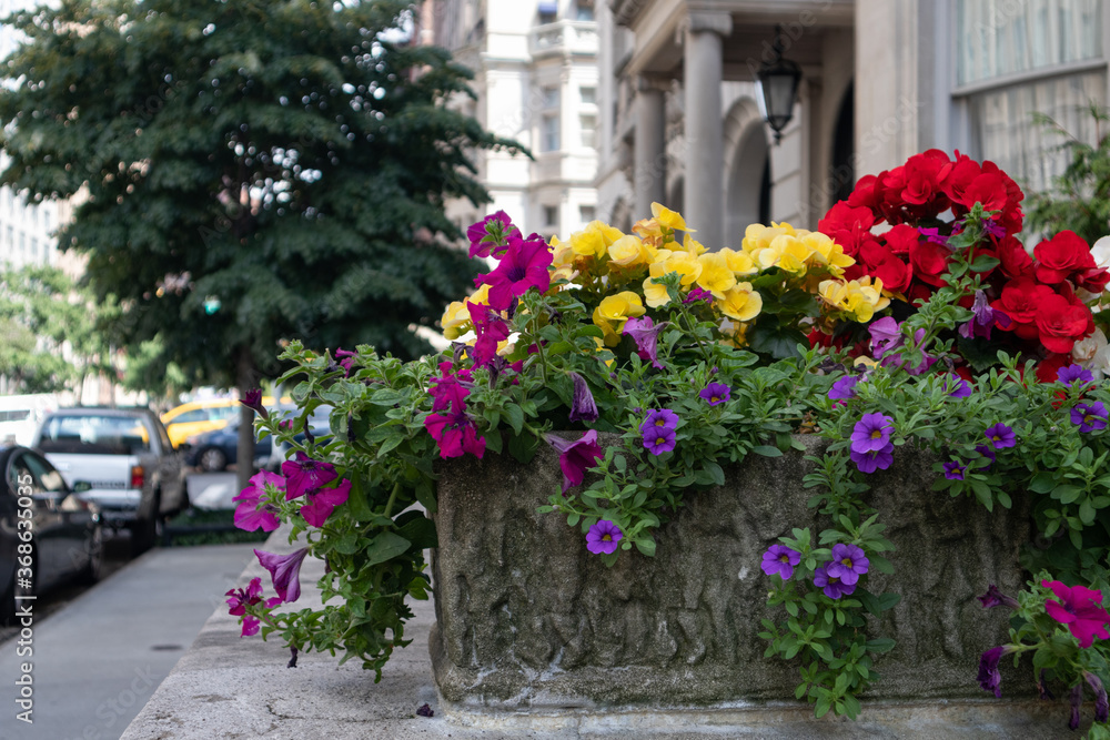 Naklejka premium Kolorowe kwiaty latem w kamiennej donicy na Upper East Side w Nowym Jorku wzdłuż chodnika