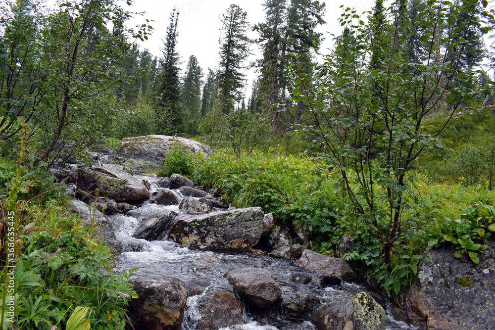Mountain river. Ergaki nature Park. East Sayan ridge. Beautiful nature of Siberia. Tall pines and firs. Mountain landscape. Mountain river. Ergaki nature Park. East Sayan ridge. Beautiful nature of Siberia. Tall pines and firs. Mountain landscape.