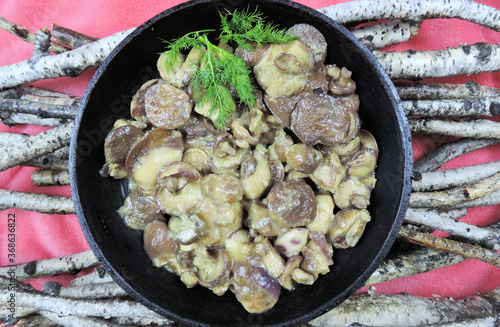       fried wild boletus mushrooms in a cast-iron pan, birch branches background      