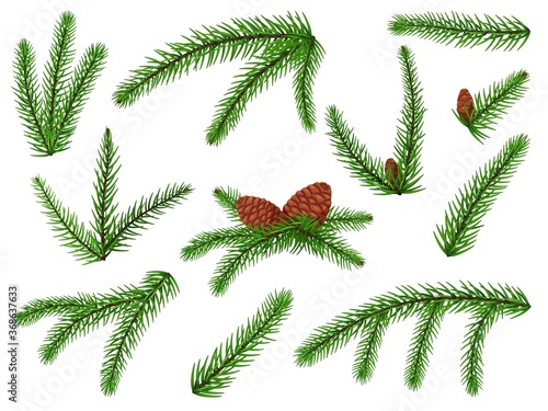 Fir branch. Christmas tree, pine sprig, conifer with cone. Lush fir branch holiday green decoration icon set isolated on white background. Vector evergreen forest plant twig element illustration