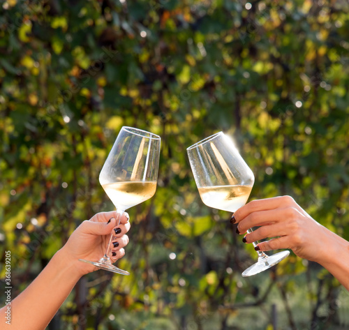 two women hands toast with glasses of white wine. vineyard blurred background