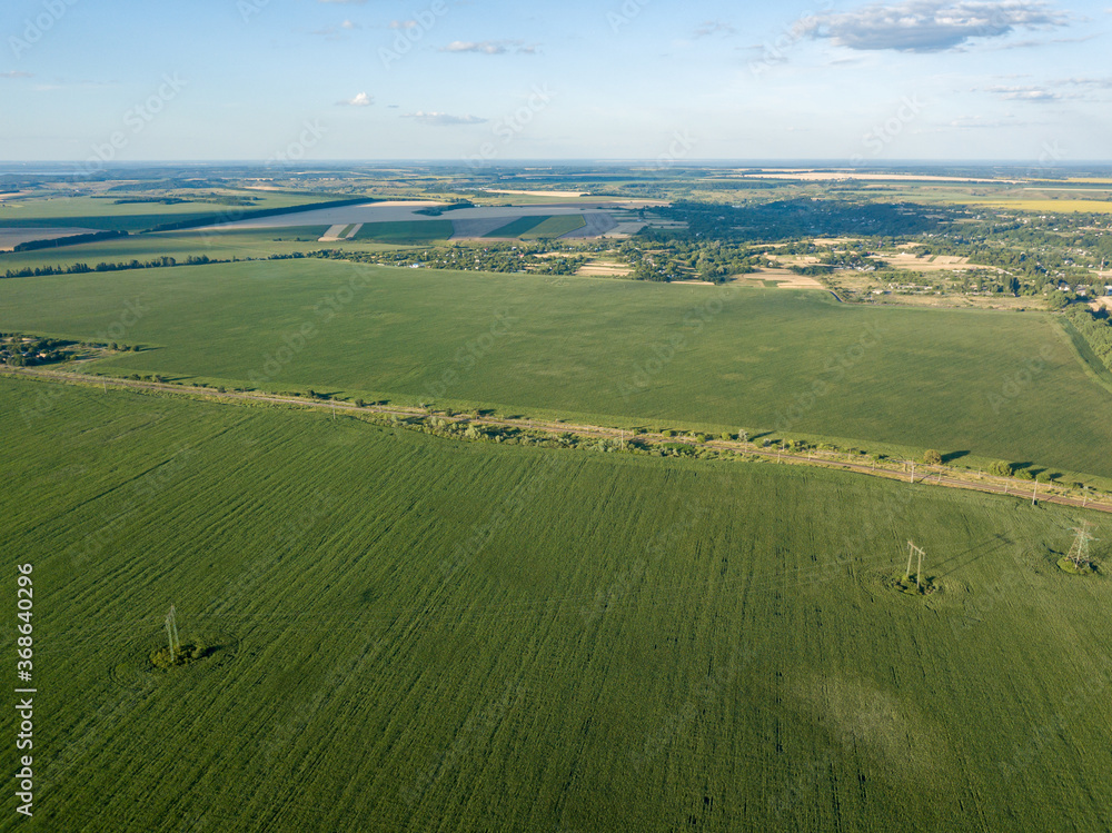 Naklejka premium Green cornfield in Ukraine. Aerial drone view.