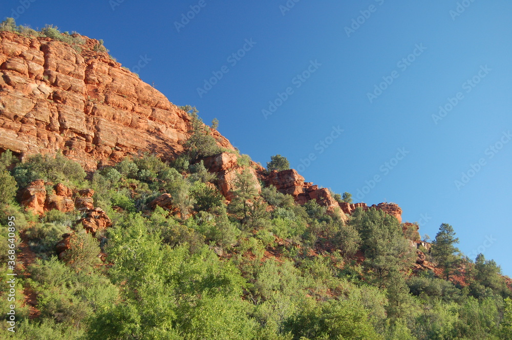 Arizona Red rocks