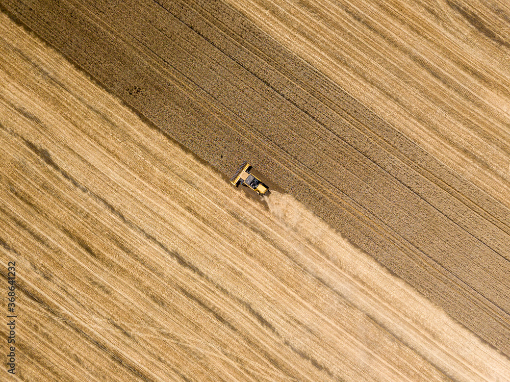 Obraz premium Aerial drone view. The harvester harvests wheat in the Ukrainian field.