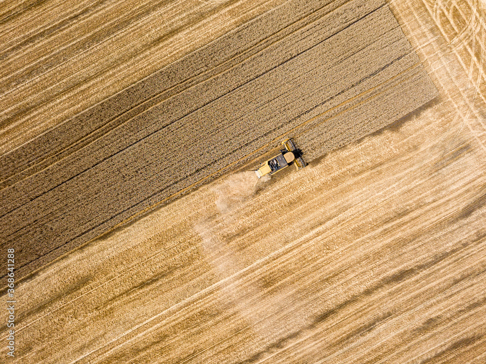 Aerial drone view. The harvester harvests wheat in the Ukrainian field. Aerial drone view. The harvester harvests wheat in the Ukrainian field.