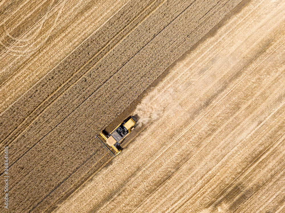 Aerial drone view. The harvester harvests wheat in the Ukrainian field. Aerial drone view. The harvester harvests wheat in the Ukrainian field.