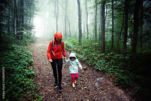 Middle age caucasian mother holding hands with her toddler daughter, while hiking through misty rainforest.