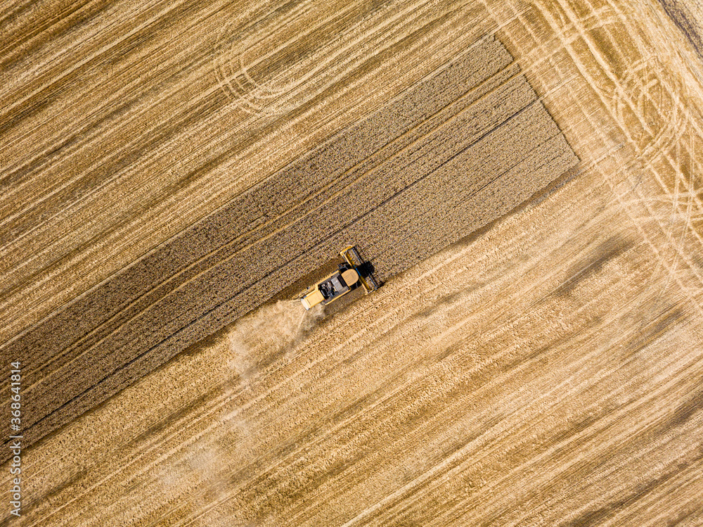 Aerial drone view. The harvester harvests wheat in the Ukrainian field. Aerial drone view. The harvester harvests wheat in the Ukrainian field.