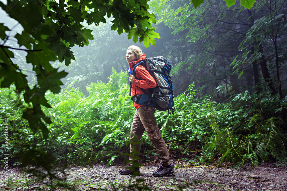 Caucasian female hiker, walking through misty rainforest, early in the morning. Caucasian female hiker, walking through misty rainforest, early in the morning.