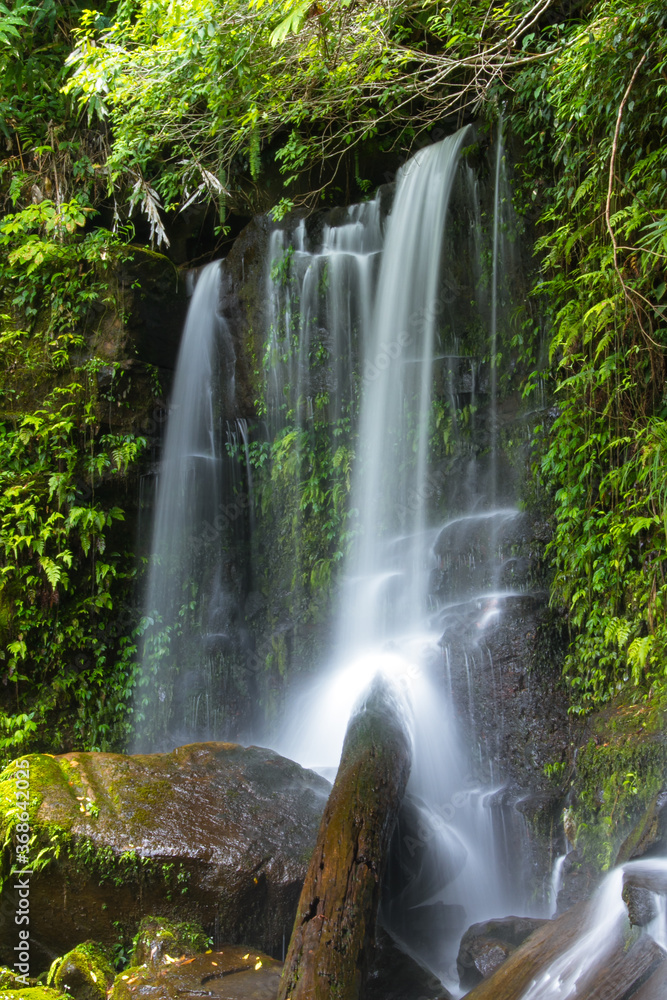 waterfall in the forest waterfall in the forest