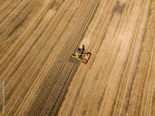 Aerila drone view. The harvester pours the wheat crop into the truck.