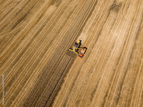 Aerila drone view. The harvester pours the wheat crop into the truck.