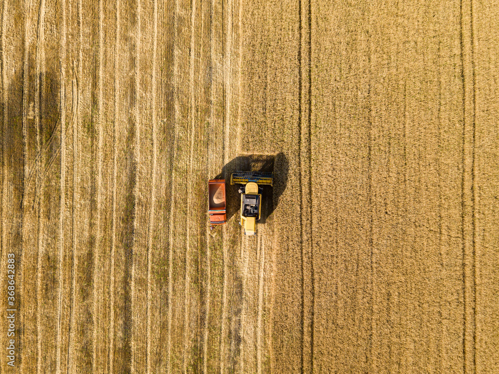 Aerila drone view. The harvester pours the wheat crop into the truck. Aerila drone view. The harvester pours the wheat crop into the truck.
