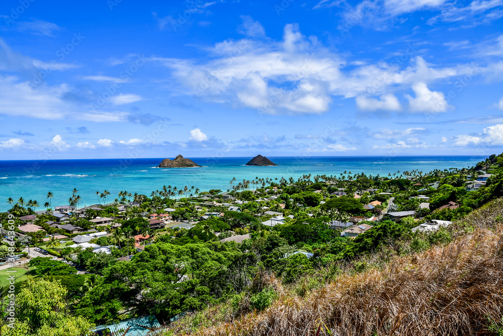 A beautiful landscape of Oahu, Hawaii. Light blue ocean in the distance and palms and houses on the beach.