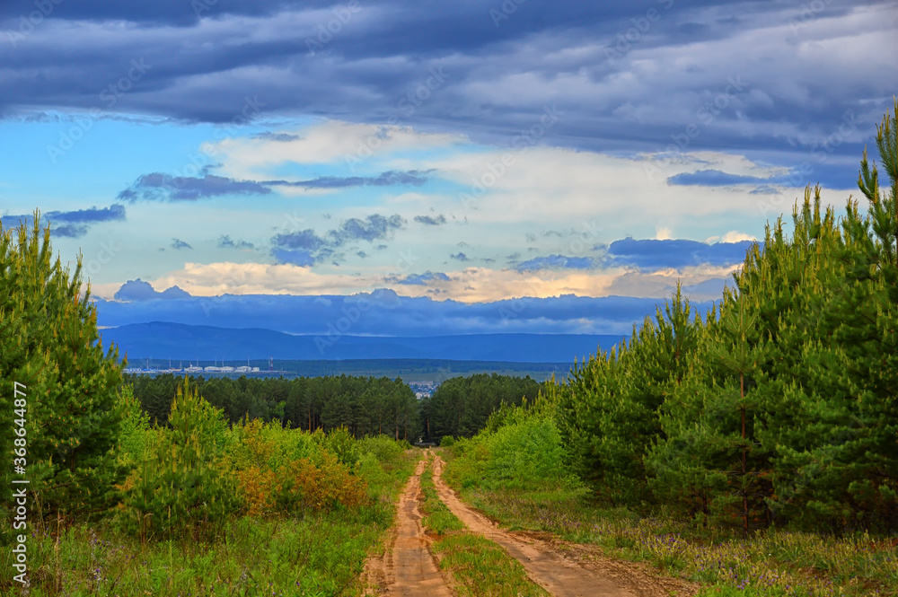 Summer landscape. A sandy country road leads to a dark pine forest on the horizon. Very colorful sky with clouds.