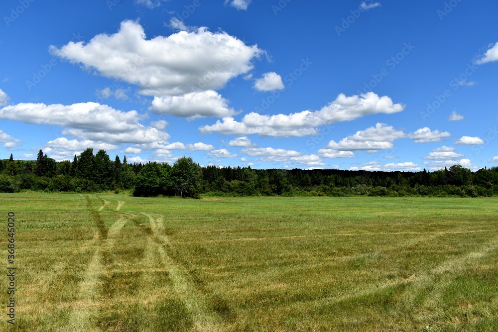 
Tractor tracks in a field