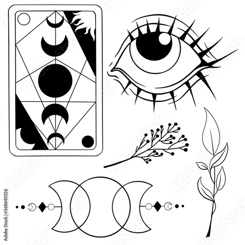 Mystical signs  symbols and plants  graphic drawings.