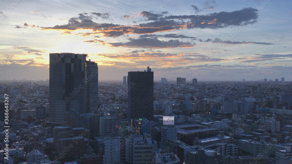 Fototapeta premium 東京 眺望