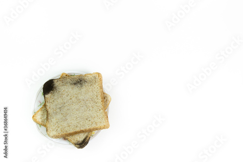 Two square slices of bread placed on a fungal infection plate, on isolated white background.