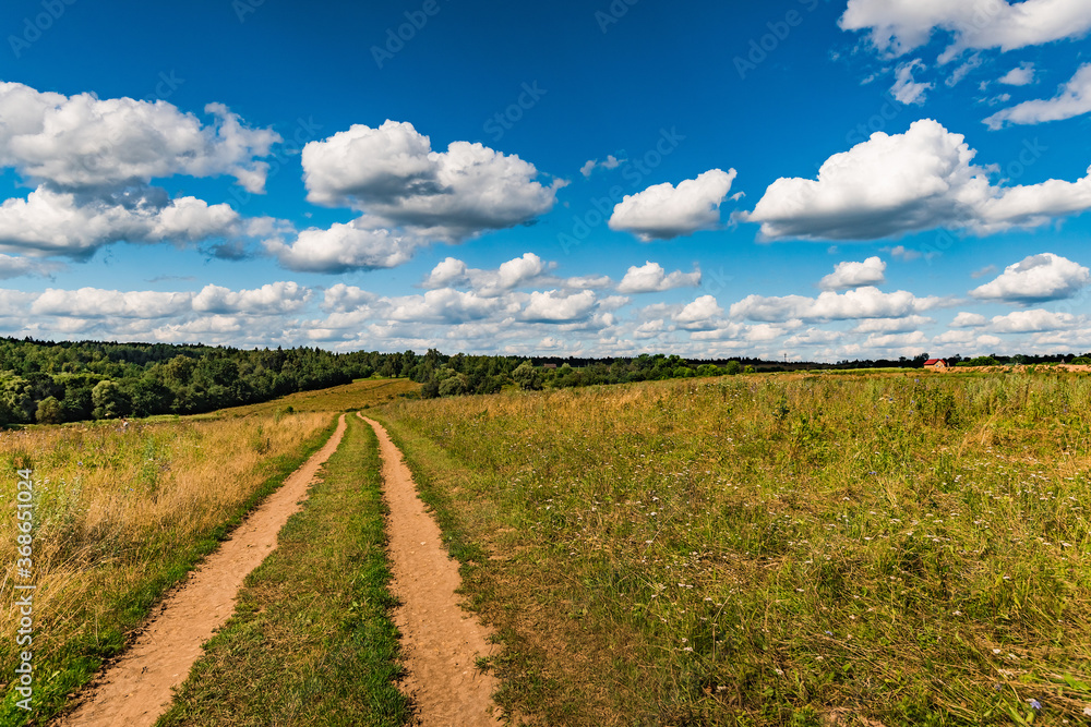 rural landscape dirt road in the field
