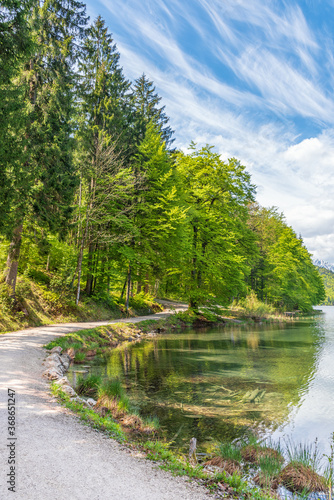 Scenic road along the lake shore Alpsee. Germany  Bavaria  Schwangau.