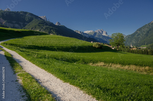 Sun lit green alpine meadows and pine woods around Vigo di Fassa village in Fassa valley, Dolomites, Trentino, Alto Adige, South Tirol, Italy.