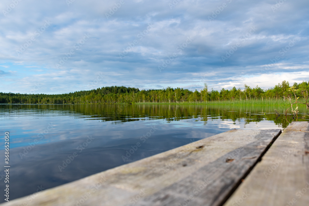 Teirumniku bog in Latgale, Latvia, historical national park, botanical zoological reserve in the forest, swamp, marsh, lakes