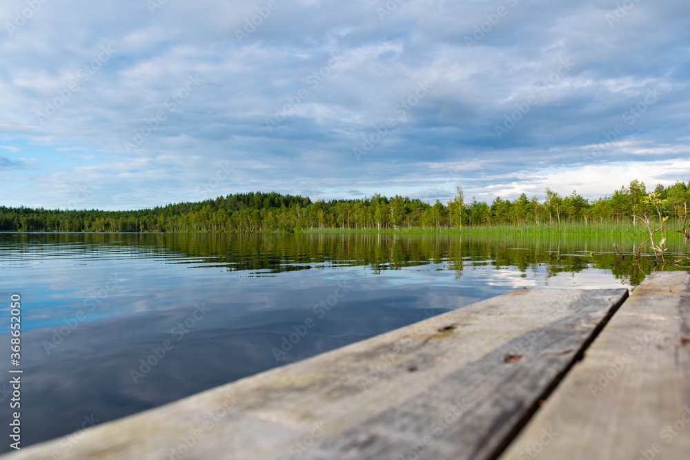 Teirumniku bog in Latgale, Latvia, historical national park, botanical zoological reserve in the forest, swamp, marsh, lakes Teirumniku bog in Latgale, Latvia, historical national park, botanical zoological reserve in the forest, swamp, marsh, lakes